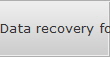 Data recovery for Ponca City data